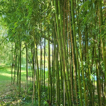 Le Bastion 3* Marnay (Vienne)