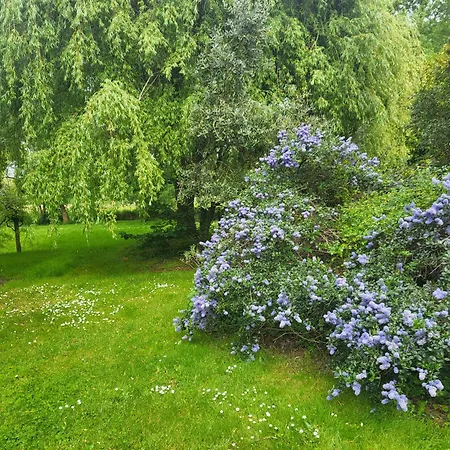 Bed & Breakfast Le Bastion Marnay (Vienne)