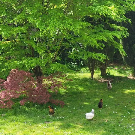 Bed & Breakfast Le Bastion 3*