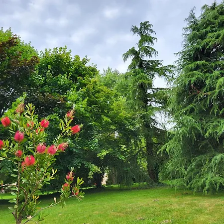 Bed & Breakfast Le Bastion Marnay (Vienne)