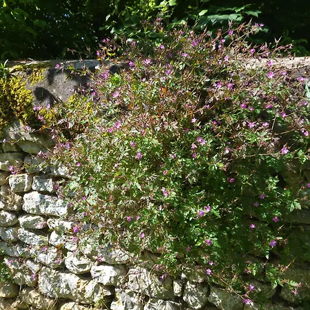 Le Bastion