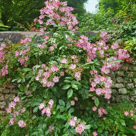 Le Bastion Bed & Breakfast Marnay (Vienne)