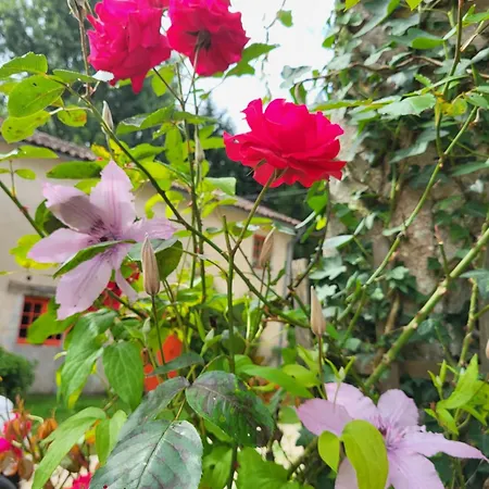 Bed & Breakfast Le Bastion Marnay (Vienne)